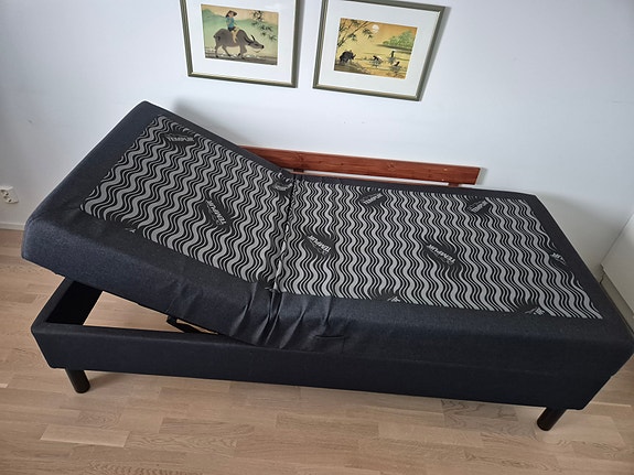 TEMPUR moottorisänky 90 × 200