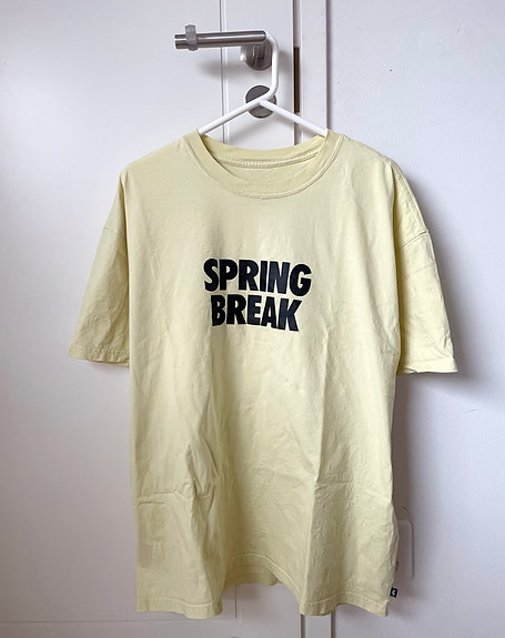 Nike SB t-paita ”Spring Break”