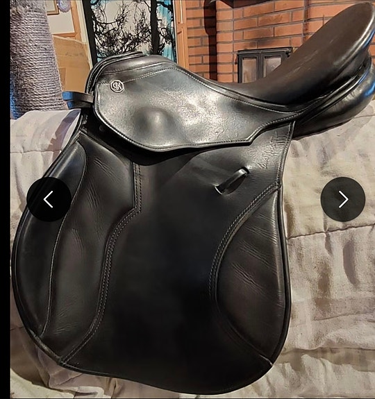 Kieffer estesatula 17'