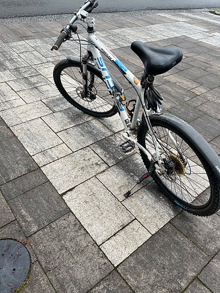 Maastopyörä Focus Whistler