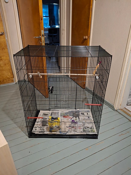 Lintuhäkki