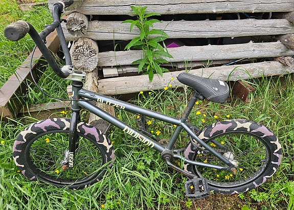 Blitzer Division BMX, 18"