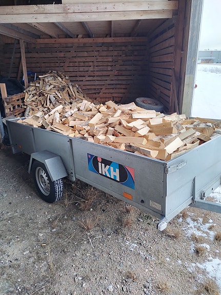 Kuiva koivuklapi