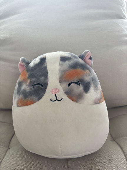 Squishmallows pehmolelu kissa