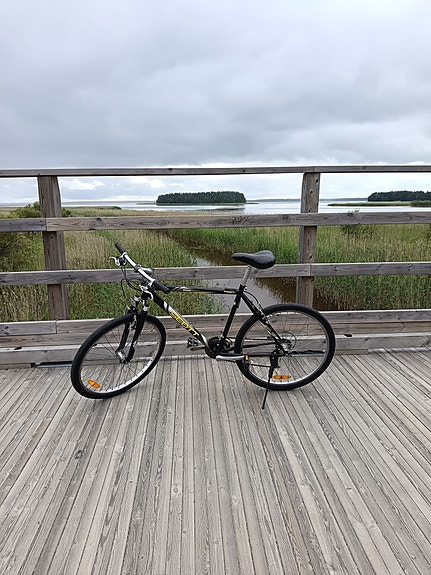 Maastopyörä Scott 26"