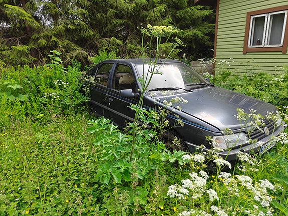 Peugeot 405