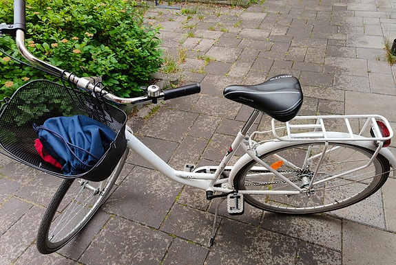 N1 cruiser 28"