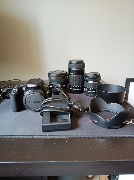 Canon EOS 250D +  Canon 55-250mm + Canon 18-55mm + Sigma 50mm