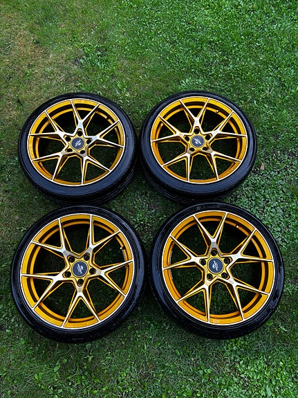 19 Forzza vanteet