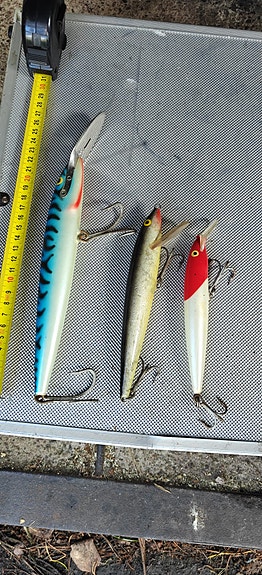Rapala Magnum