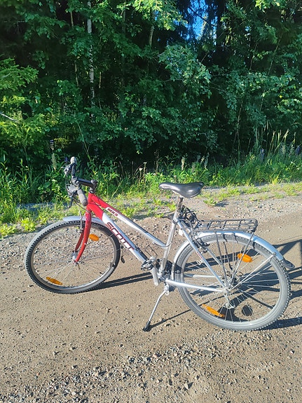 Scott 26" naisten polkupyörä