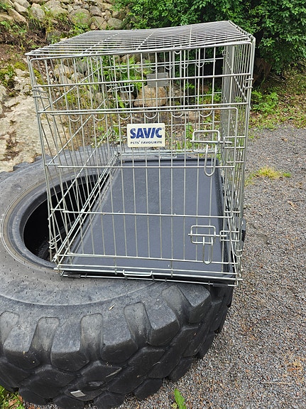 Savic - merkkinen häkki
