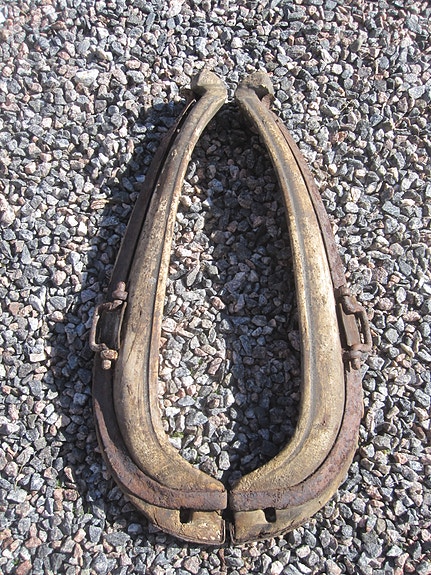 Hevosen länget