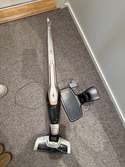 Electrolux ergorapido Classic varsi-imuri