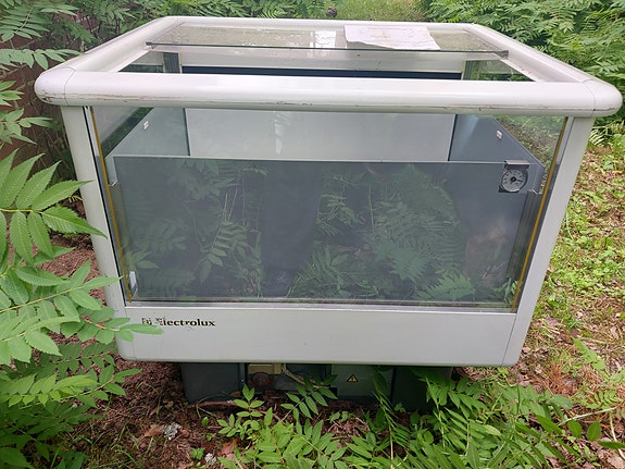Electrolux Crystal CO 17/CO 34 lasikantinen pakastin