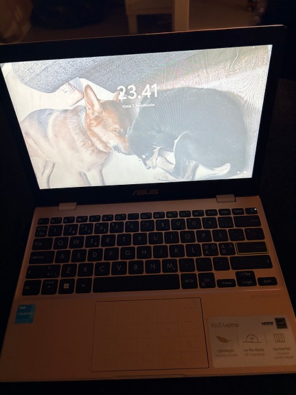 Asus kannettava tietokone 11,6” rose pink