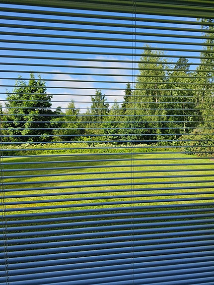 Sälekaihtimia
