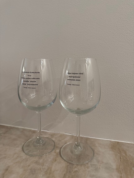 Muurla Cupido viinilasit 2 kpl
