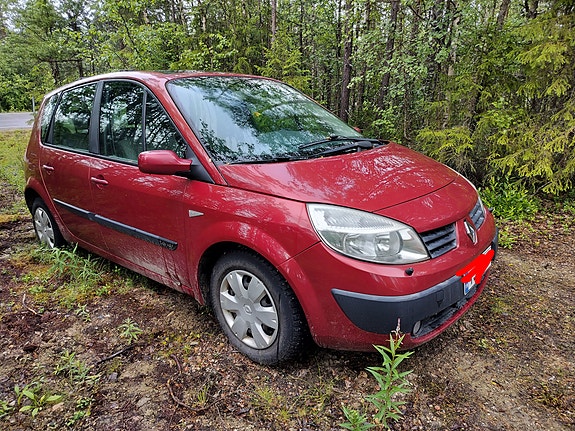 Renault Megane Scenic osina