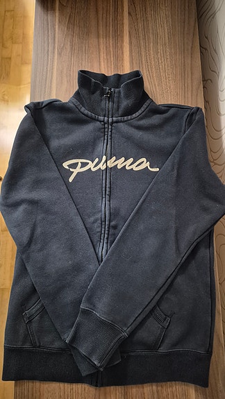 Puma college