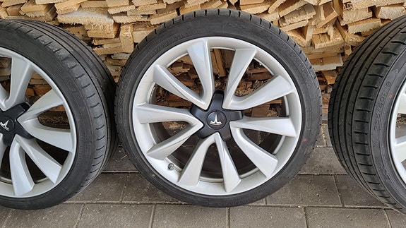 Tesla Stiletto 19 tuuman vanteet kesärenkailla