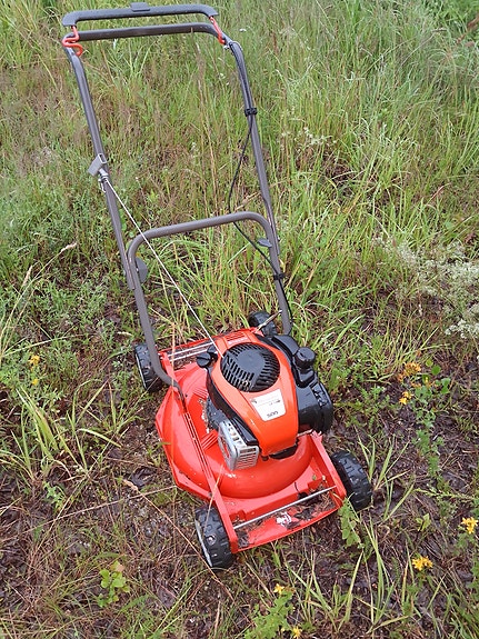 Myynnissä