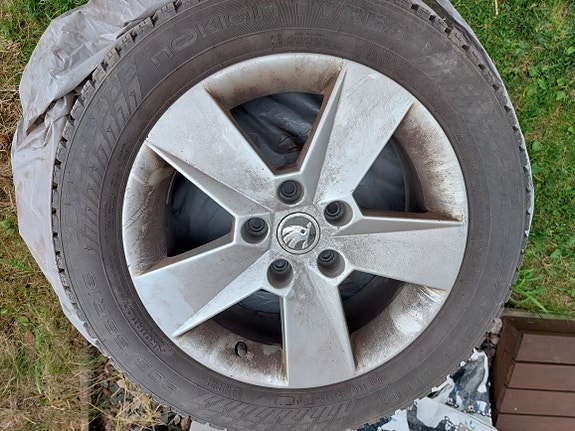 Hakkapeliitta 10 nastarengas 205 55 R16