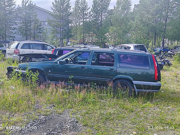 Volvoja osina
