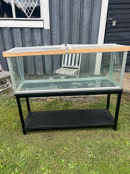 Terraario jalustalla + tarvikkeita