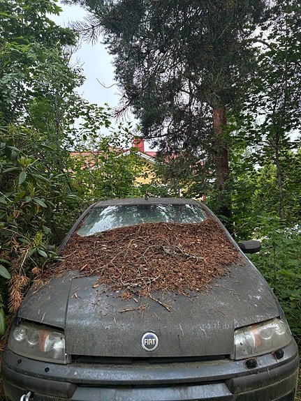 Fiat Punto 1,2