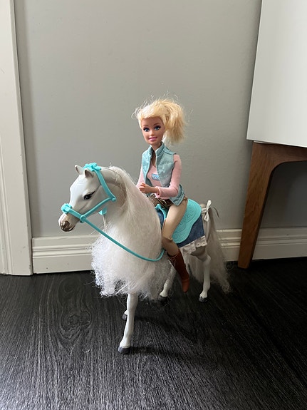 Barbie hevonen ja ratsastaja -leikkisetti