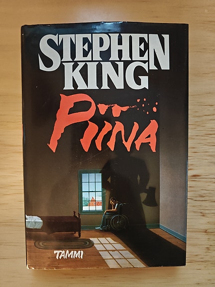 Stephen King - Piina