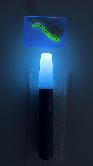 UV flashlight + battery + charger + glass filter + diffuser