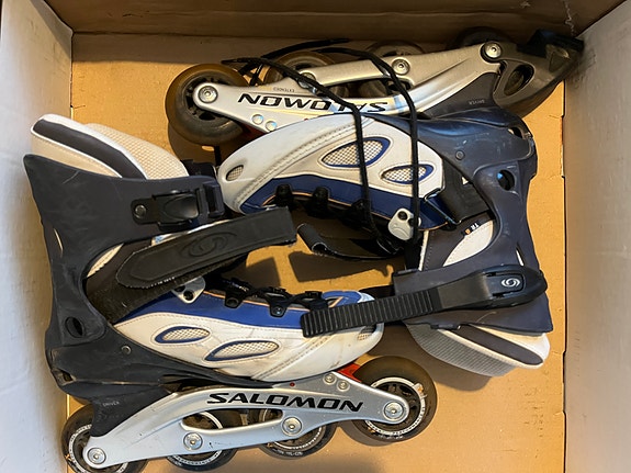 Salomon 39 rullaluistimet