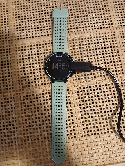 Garmin Forerunner 235