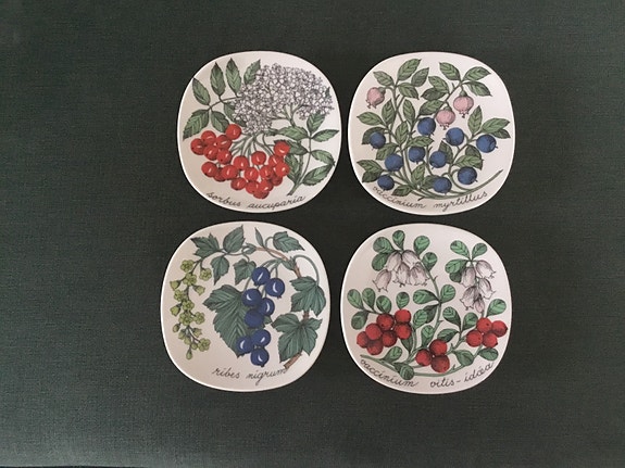 Ester Tomulan Botanica sarjan seinälautasia 4 kpl, 120€