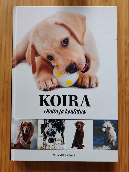 Koiran hoito ja koulutus