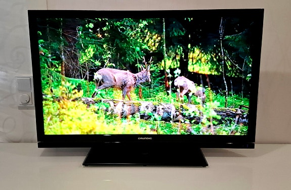 40" Grundig TV - Full HD + Kaukosäädin!!!