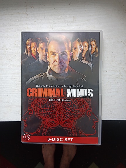 Criminal Minds kausi 1 DVD 6 levyn boksi - setti (2005).