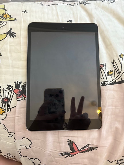 Ipad mini 1