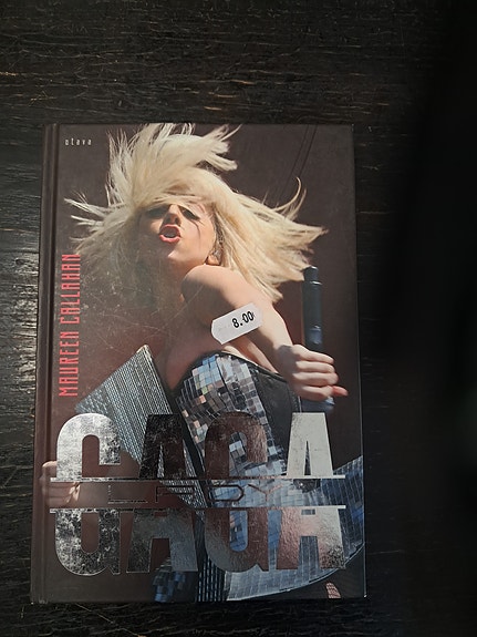 Lady Gaga -kirja
