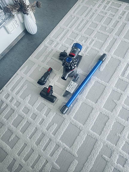 Dyson v8
