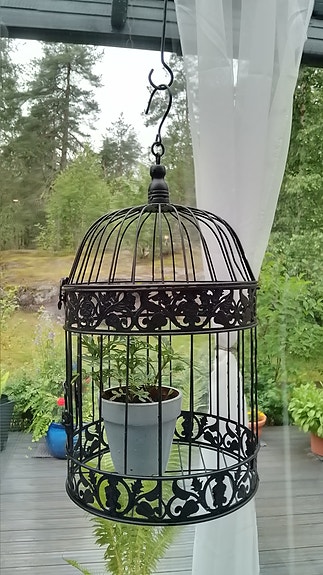Puutarha koriste lintuhäkki kukkateline