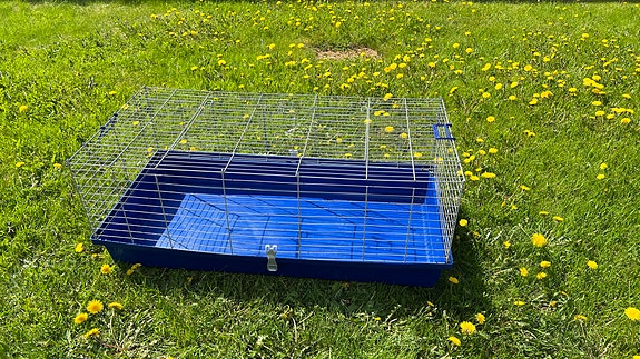 Jyrsijän häkki + tarvikkeet