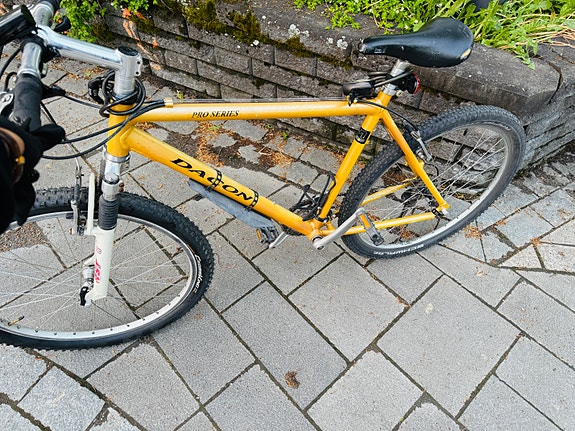 Bicycle