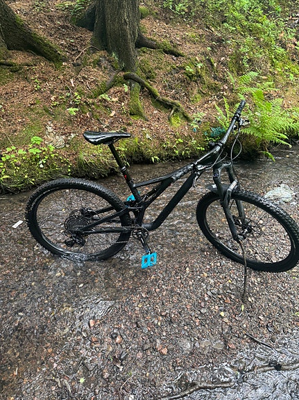 Specialized stumpjumper