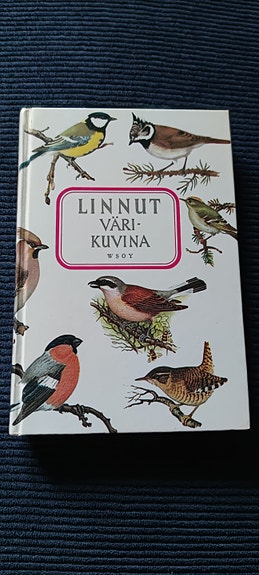 Linnut värikuvina