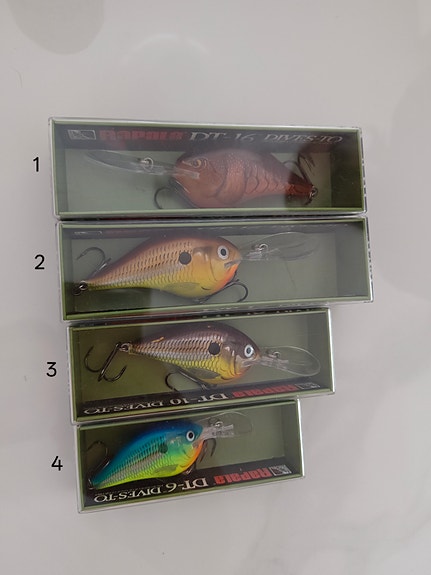 Rapala dt uistimia