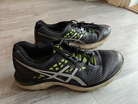 Asics Gel Pulse 9