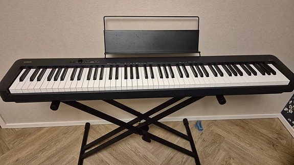 Casio CDP-S110